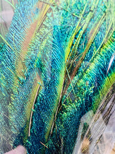 Peacock Feathers and Bouquets